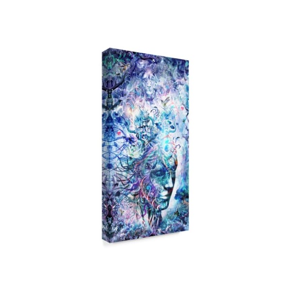 Cameron Gray 'Dreams Of Unity' Canvas Art,12x24